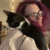 extraterrestrialkitten